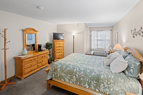 A bedroom with a bed, dresser, and mirror.
