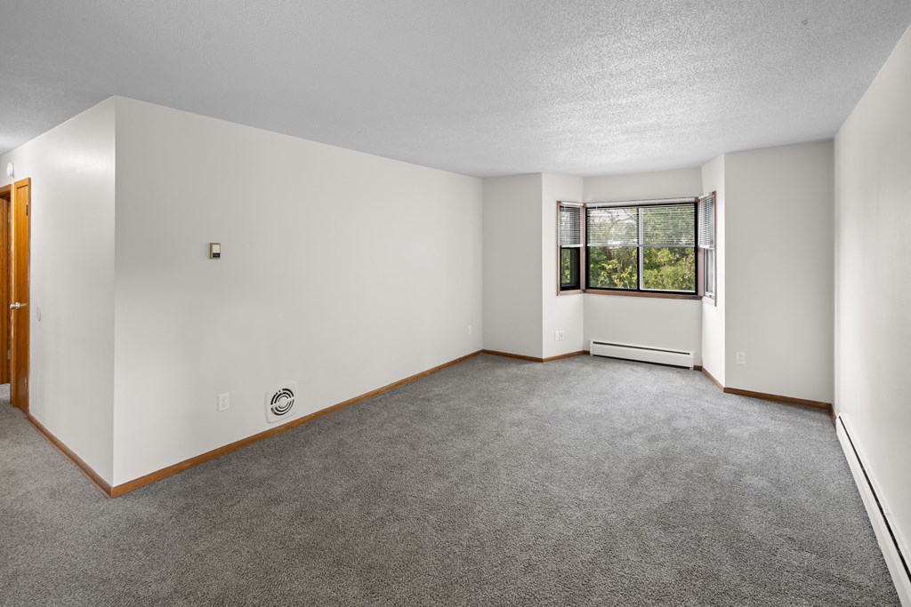 an empty living room with carpet and a window
