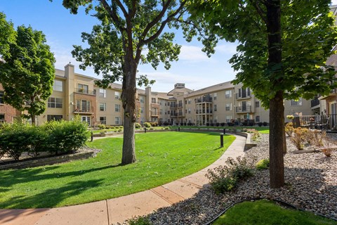 A tree in a grassy area in front of apartment buildings.