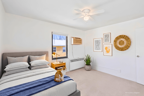 A cat is sitting on a bed in a bedroom.