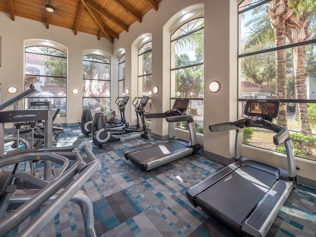 a gym with cardio equipment and large windows