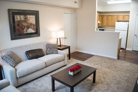 Akron-oh-apartment-rentals-redwood-the-village-of-northhampton-living-room