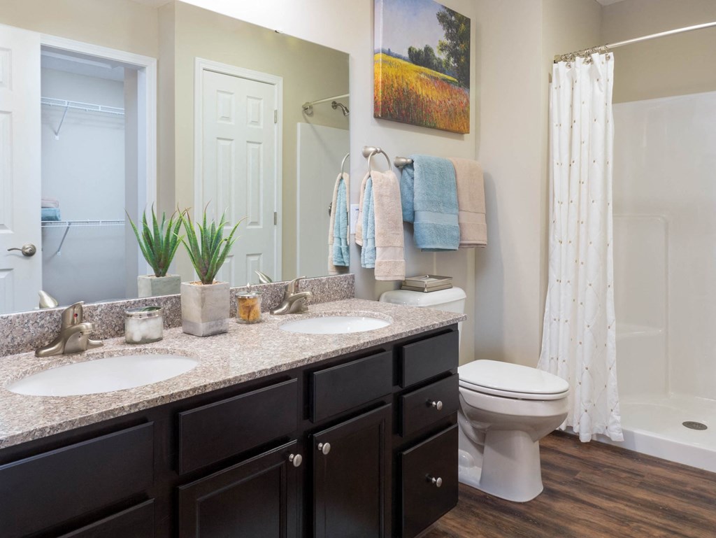 a bathroom with two sinks and a toilet