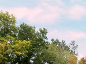 Canton Michigan Apartment Rentals Redwood Canton Neighborhood Setting