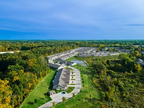 A bird's eye view of a residential area surrounded by trees.