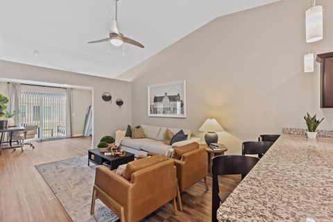 A living room with a brown sofa and a grey rug.