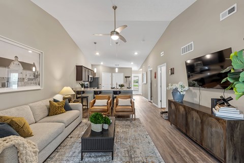 A living room with a grey sofa, a coffee table, and a television.