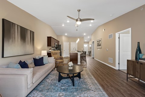A living room with a white couch and a blue rug.