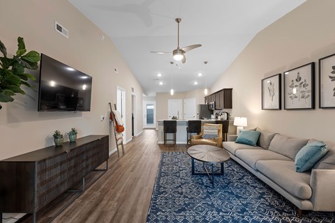 A living room with a grey couch and a blue patterned rug.