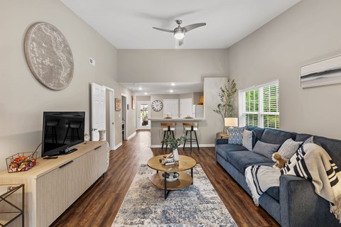 A living room with a grey couch and a television.