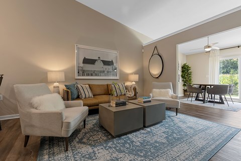 A living room with a couch, chair, and a rug.