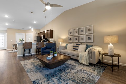A living room with a blue rug and a white couch.