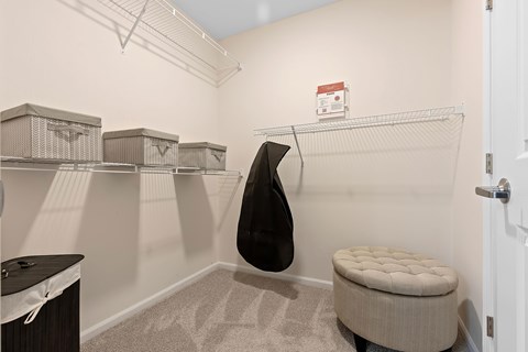 A room with a bench, a coat rack and a door.