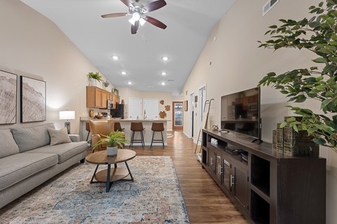 A living room with a grey sofa, a coffee table, a ceiling fan, and a rug.