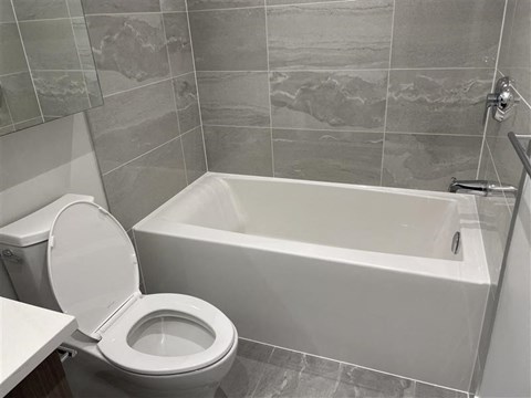 a bathroom with a toilet and a bath tub