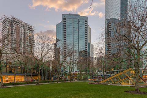 a city park with skyscrapers in the background