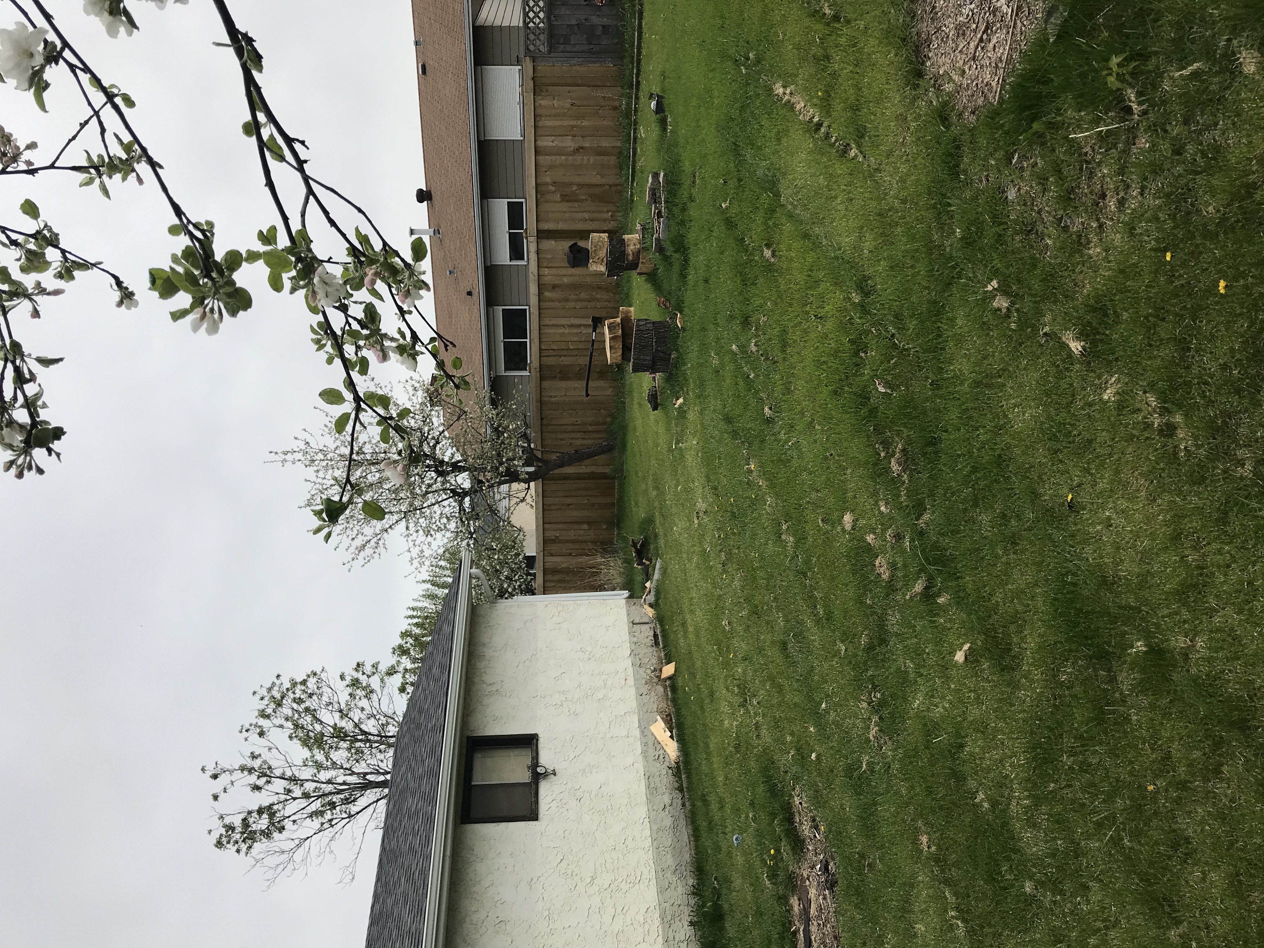 A building with a green lawn in front of it.