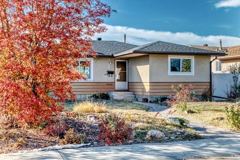 A house with a red tree in front.