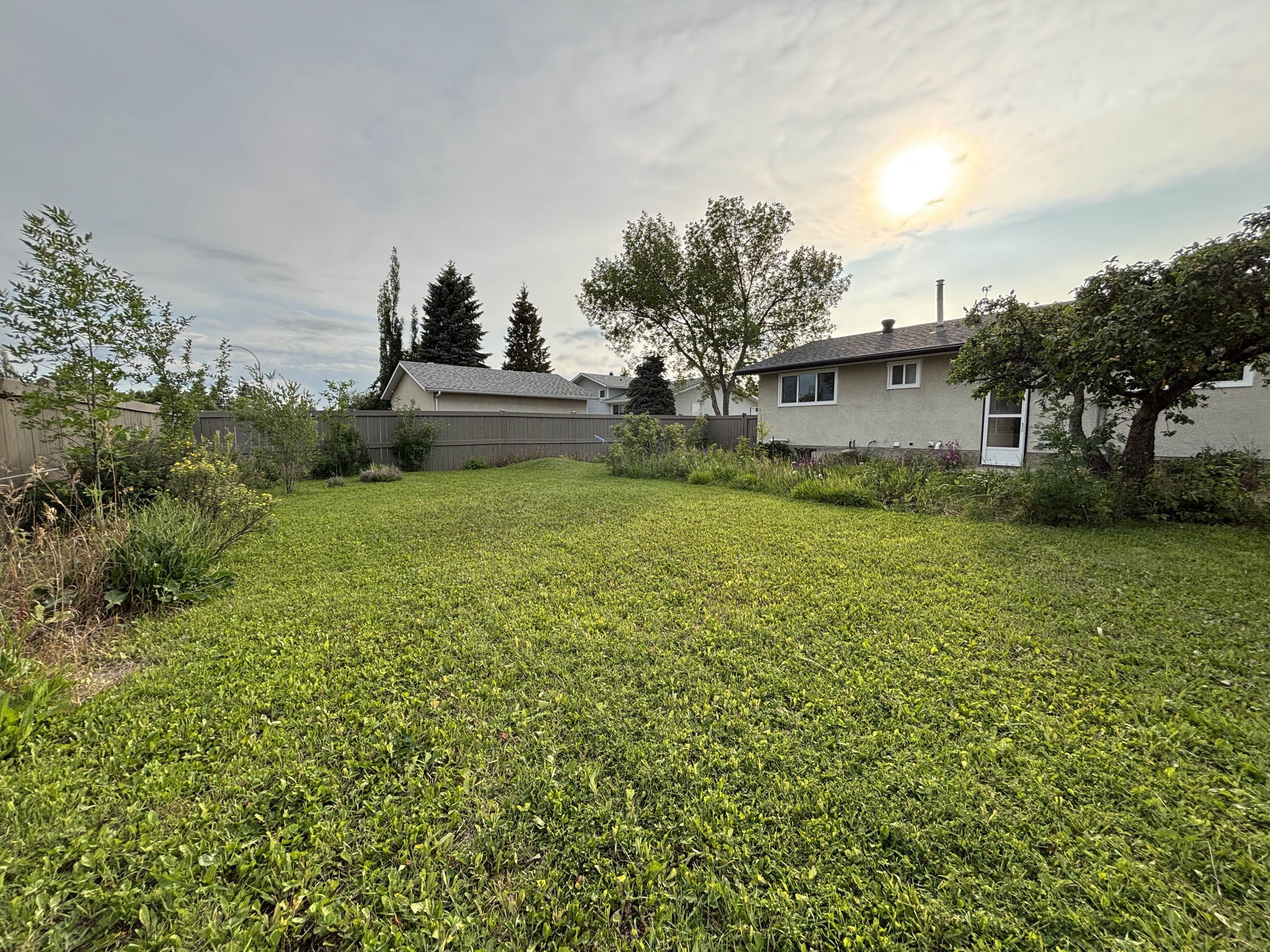 A backyard with a lawn and a house in the background.