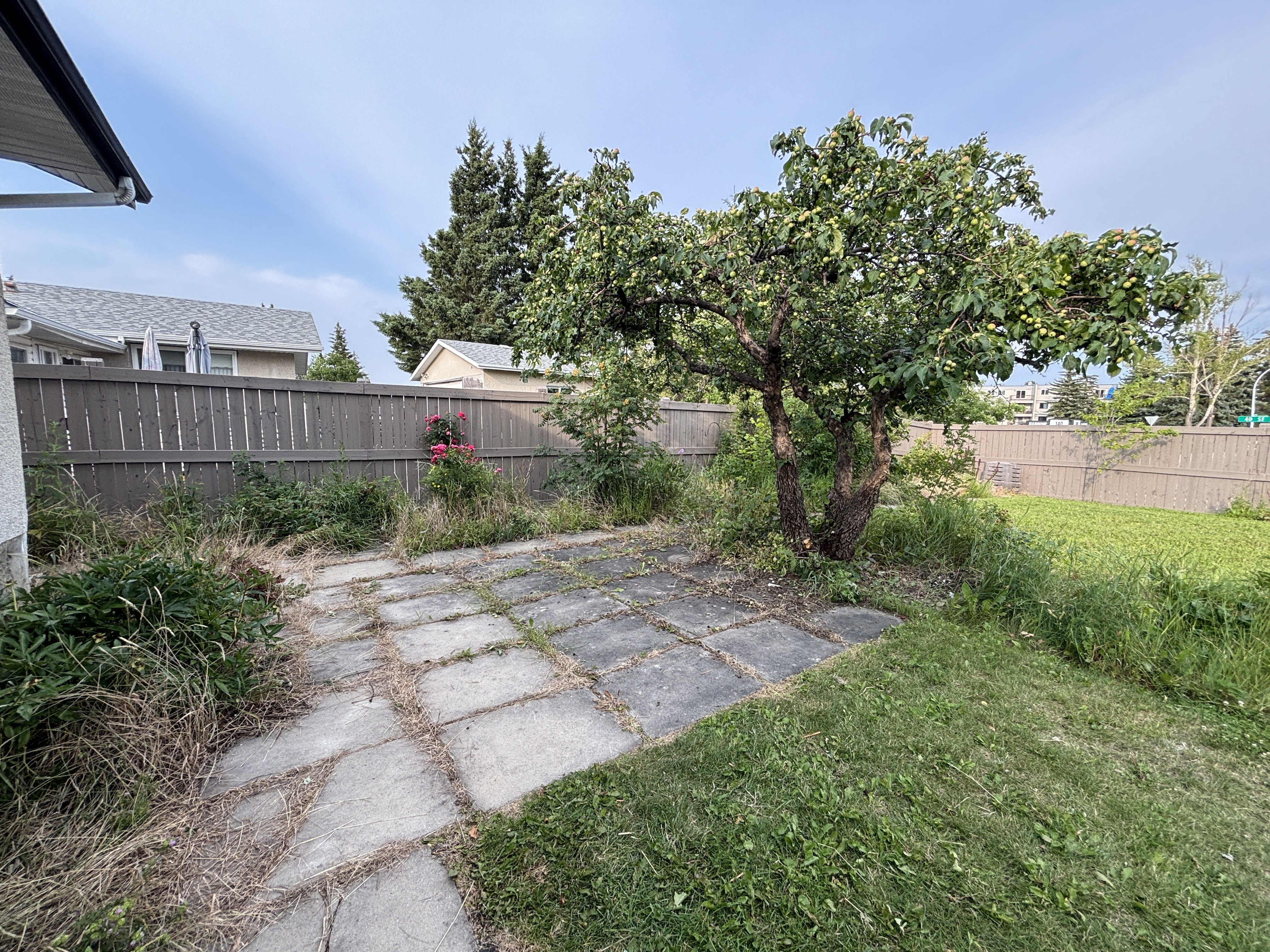 A backyard with a tree, a fence, and a stone path.