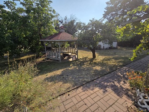 A gazebo is surrounded by trees and bushes in a backyard.
