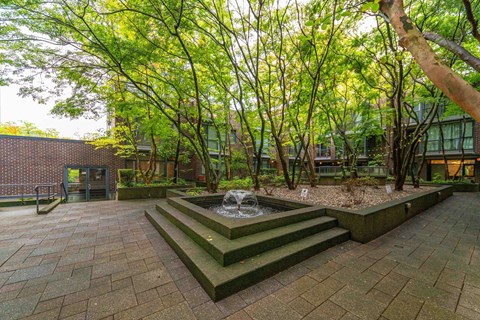 A courtyard with a fountain surrounded by trees.