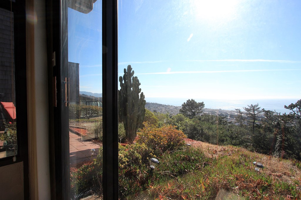 the view from the kitchen window