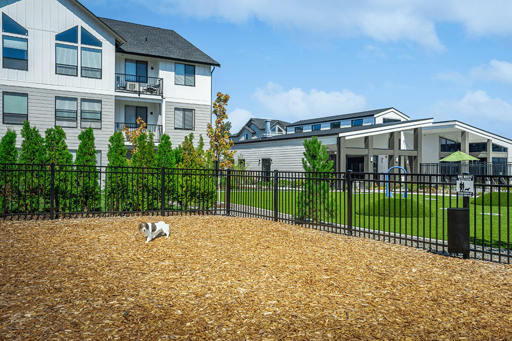 A dog is sitting on a pile of mulch in front of a building.
