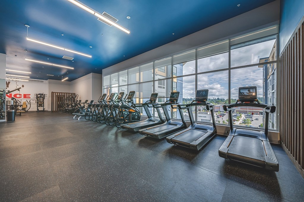 cardio equipment in the fitness room atrium of a building with large windows