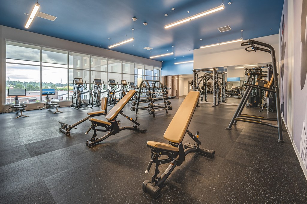 a fitness room with weights and exercise equipment