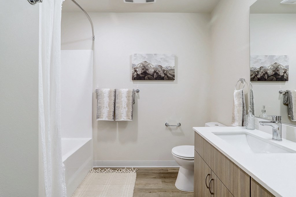 a bathroom with a sink toilet and a shower
