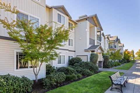 A tree in front of a building with a bench in front of it.