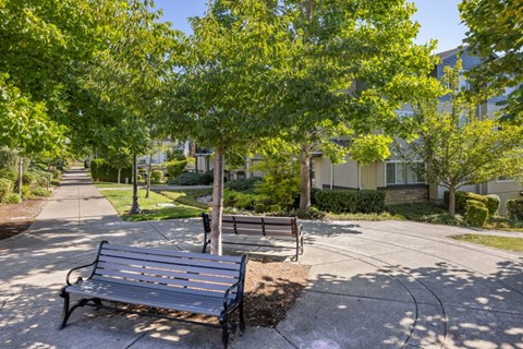 A park bench is situated on a concrete path.