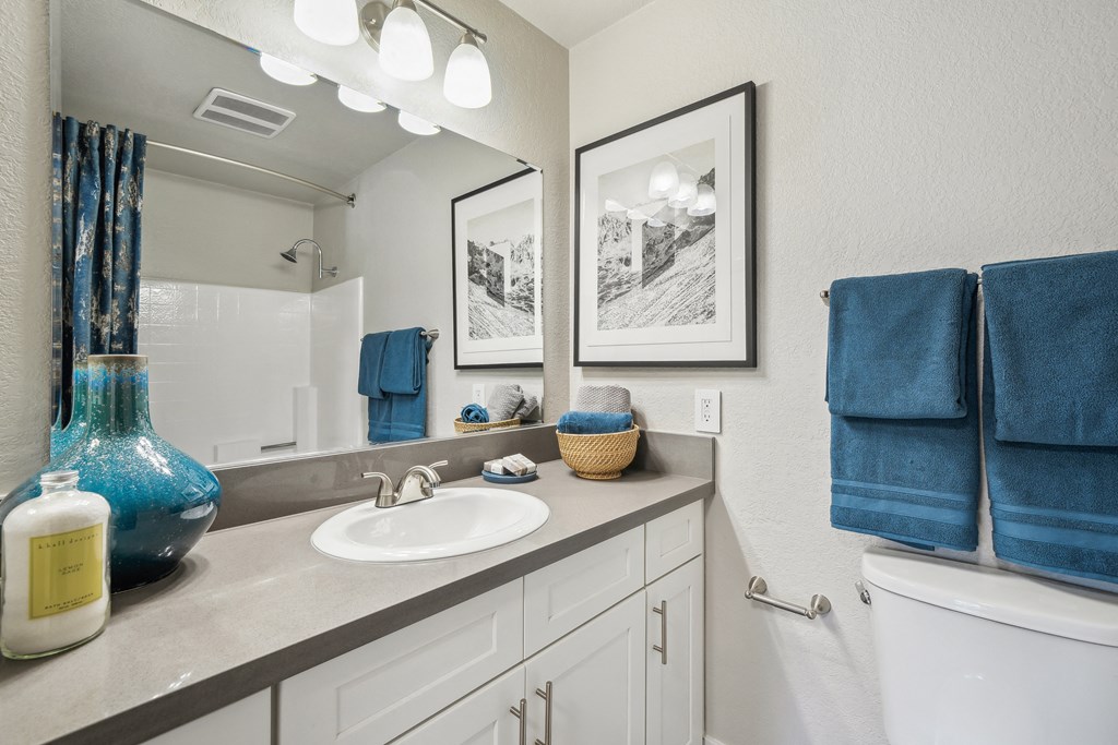 Sofi at Wood Ranch Apartments Bathroom