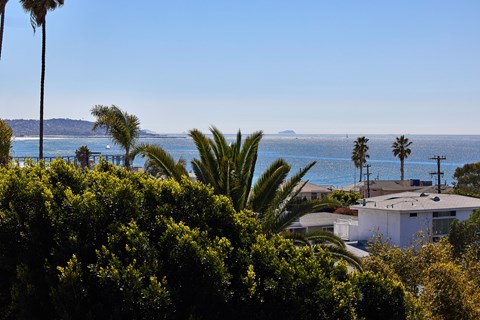 A view of a coastal area with houses and trees.