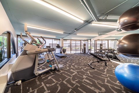 A gym with a variety of equipment including a treadmill, exercise ball, and weight machine.