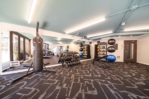 A gym with a variety of equipment including a squat rack, bench press, and medicine balls.