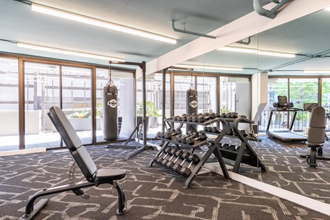 A gym with a variety of equipment including dumbbells, weight plates, and a bench press.