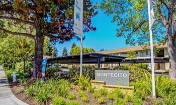3765 Tamarack Lane Studio-2 Beds Apartment for Rent - Photo Gallery 6