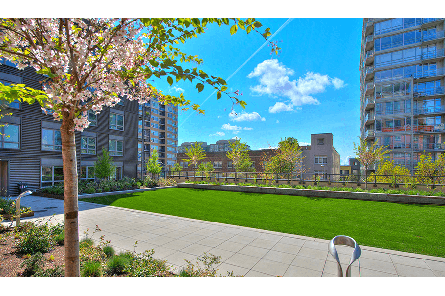a view of a park with green grass and buildings