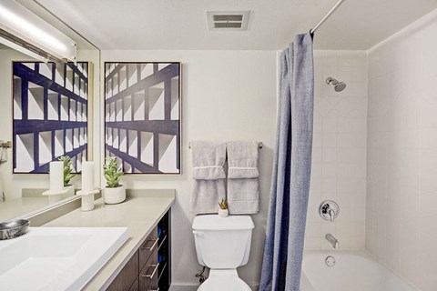 a bathroom with a toilet and a tub and a sink