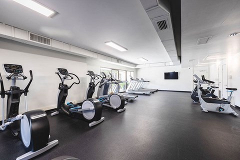 Woodland Hills cardio equipment