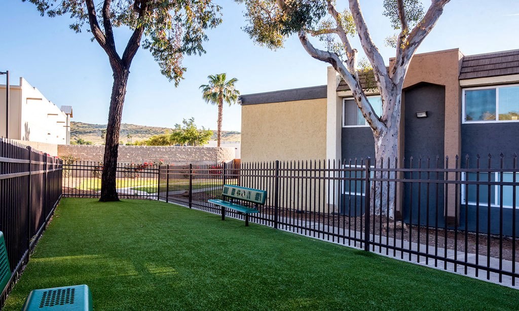 a yard with a bench and a fence