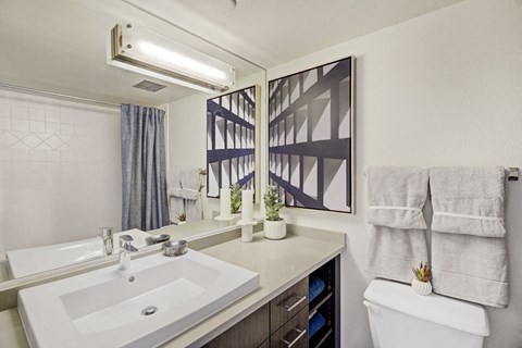 a bathroom with a sink and a toilet and a mirror