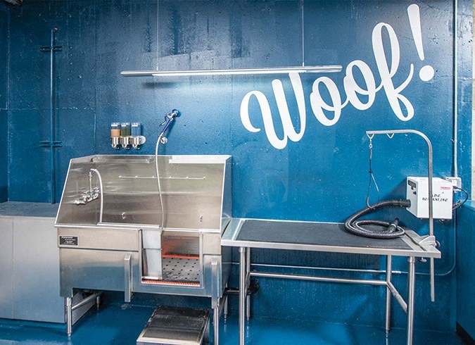 a blue wall with a stove and a sink