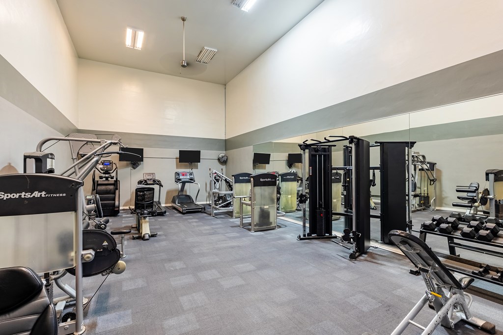 A gym with a variety of equipment including a treadmill, weights, and a bench press.