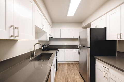 Woodland Hills kitchen