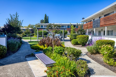 A sunny day at a park with a bench and a walking path.