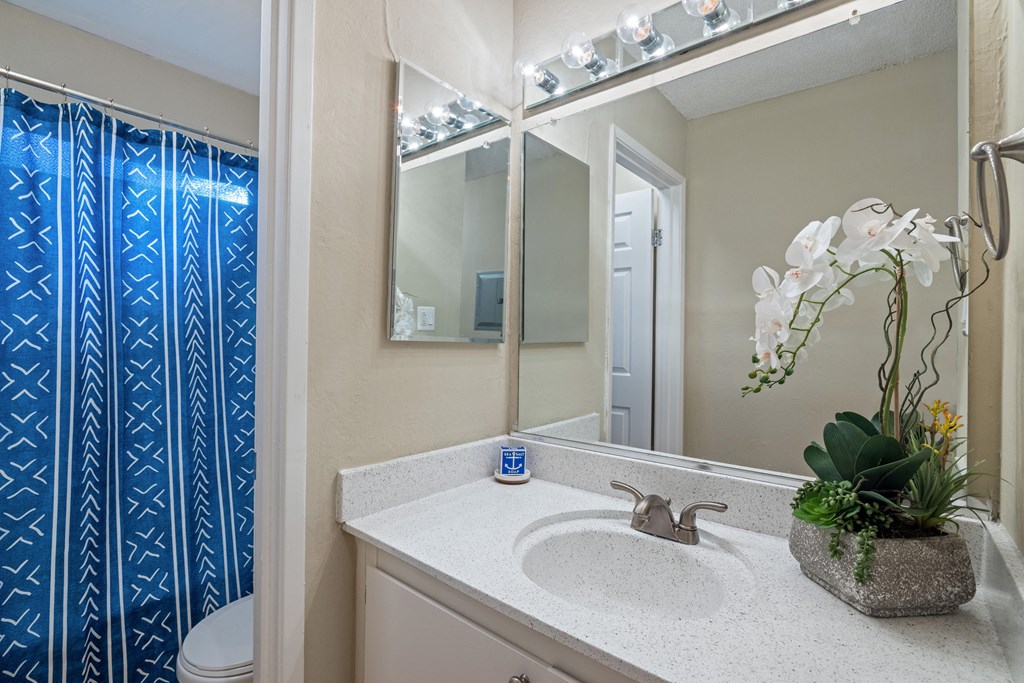a bathroom with a sink and a shower and a mirror