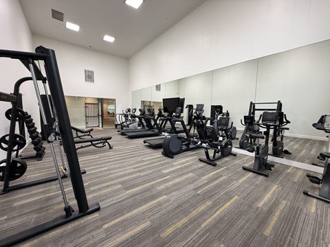 A gym with a variety of exercise equipment.